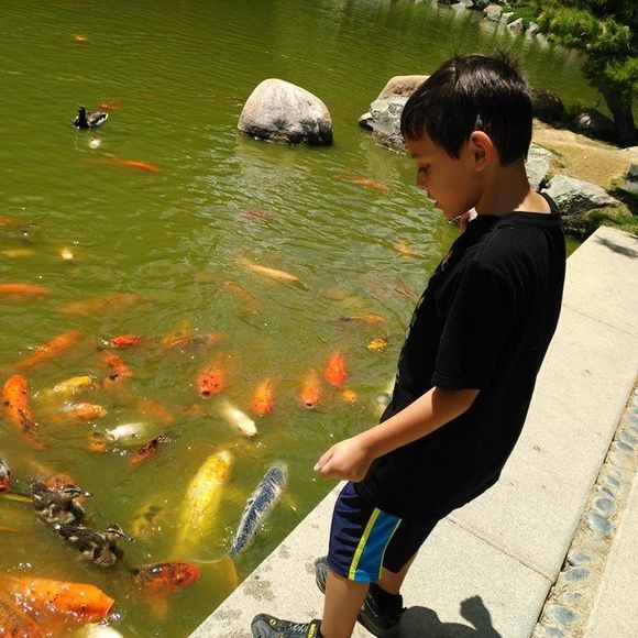 Meet your Posher, Rebecca - Picture 1 of 1